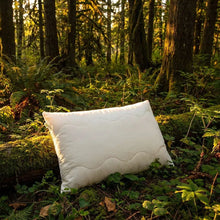Load image into Gallery viewer, Dream Mate Pillow